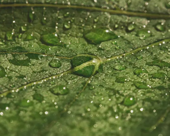 ความชื้น